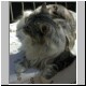 3winston550x666.jpg