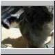 41winston826x666.jpg
