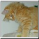 30Zeus14wks697x666.jpg