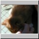 1Zeus4wks851x666.jpg